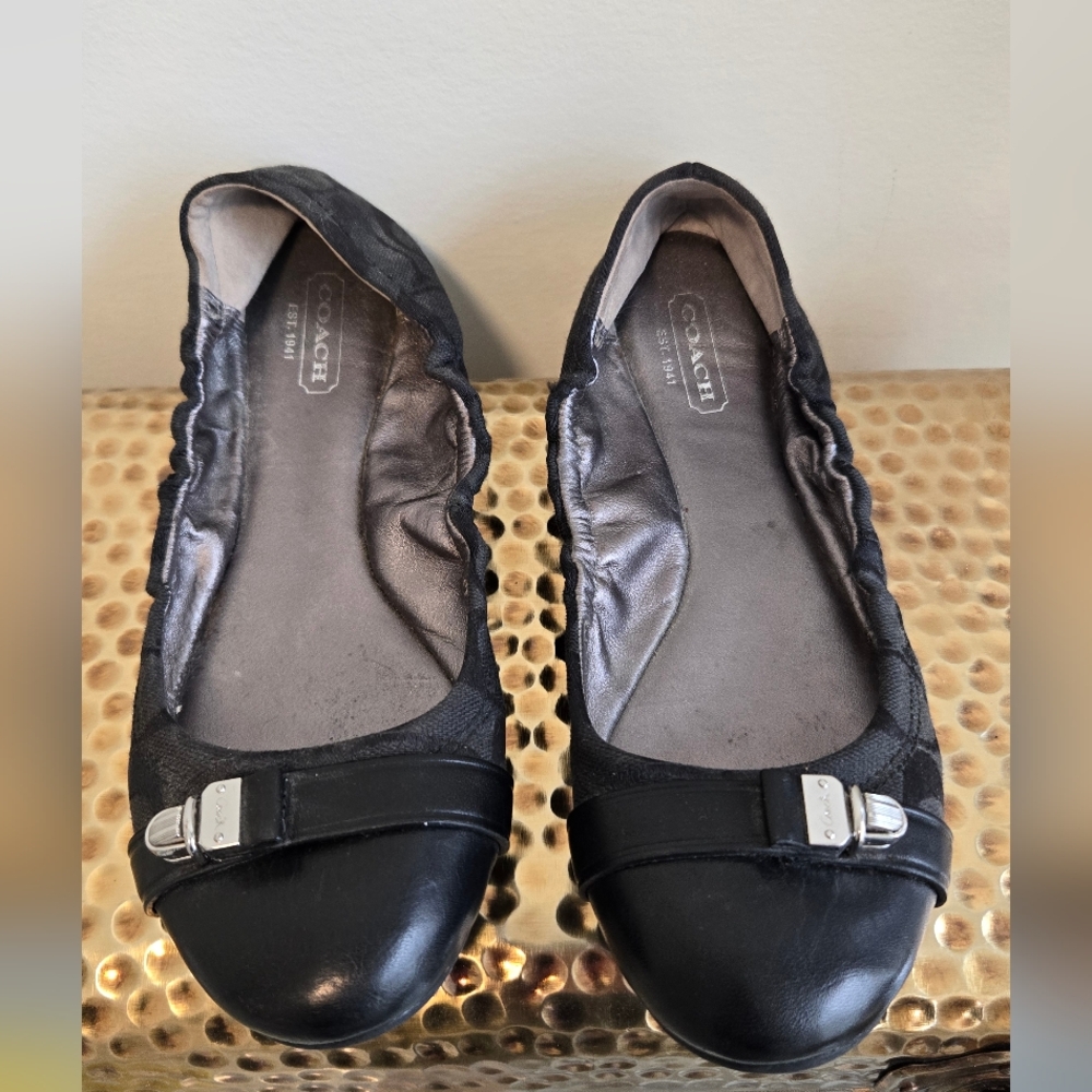 Coach Delphine Women's Ballet Flats